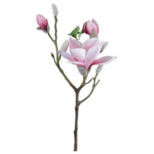 Umelá Rastlina Magnolie, V: 69cm